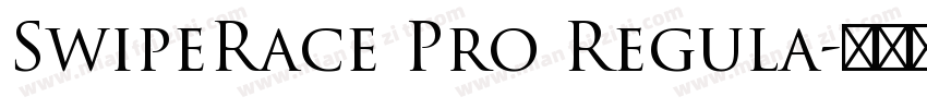 SwipeRace Pro Regula字体转换